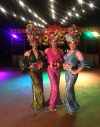 The Priscilla Show